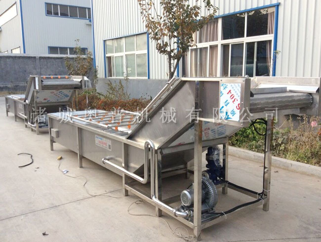 Vegetable cleaning machine