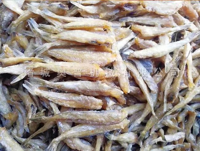 Salted fish vacuum fryer